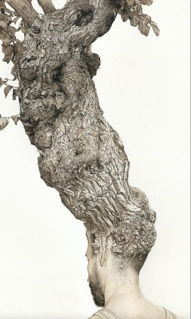 Fabien Mérélle Domaine de Chaumont sur Loire bouture Fac-similé 