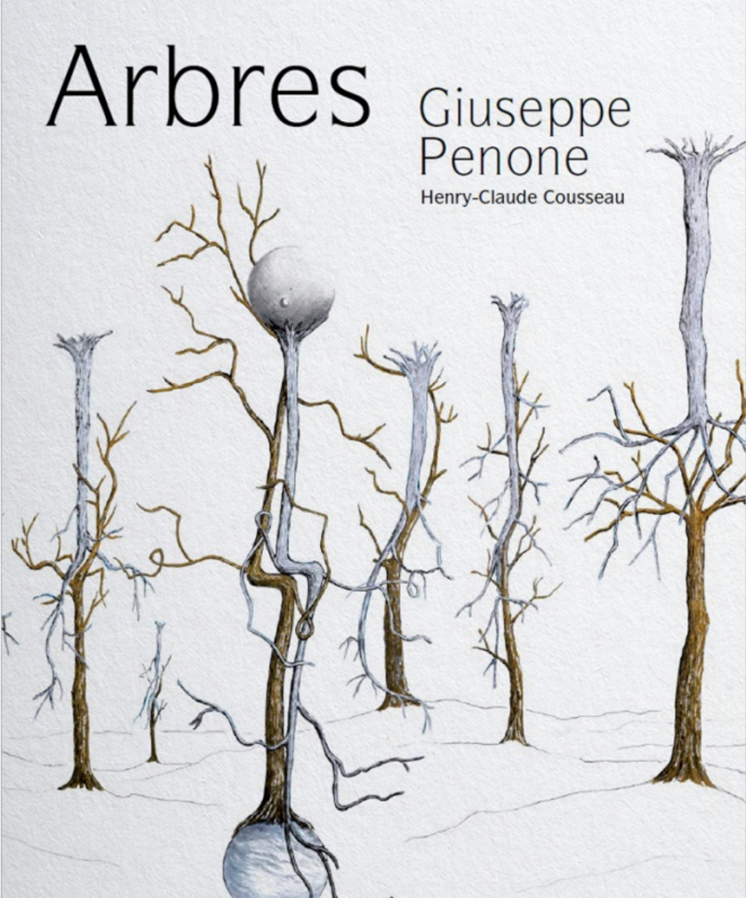 Giuseppe Penone Arbres exposition Domaine de Chaumont-sur-Loire